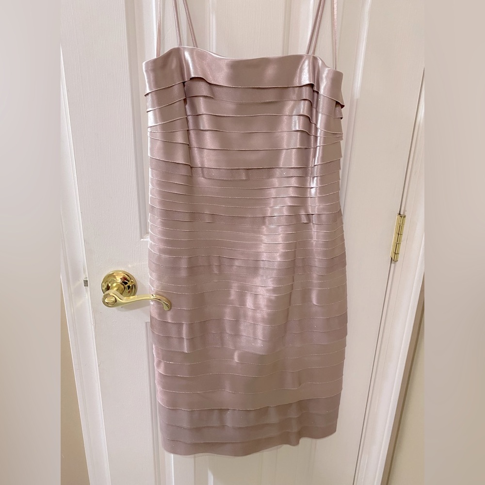 Connected brand cocktail dress. Size 10 but fits like an 8.